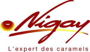 NIGAY-logo-expert-hte-defvect